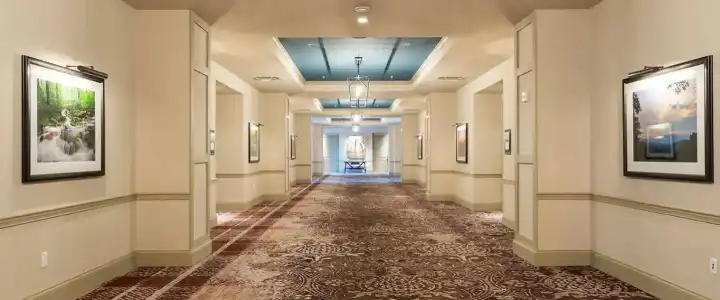Dollywood's DreamMore Resort - 8