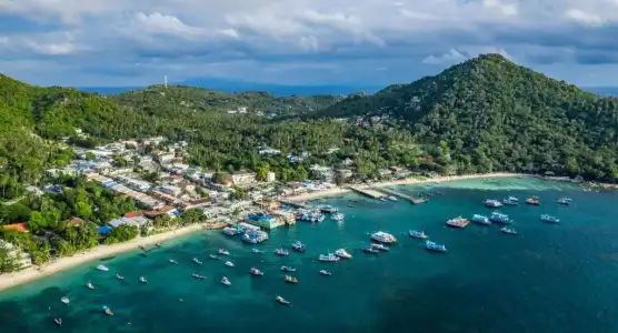 The Miracle Koh Tao - 31