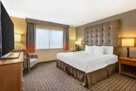 Best Western Plus Scottsdale Thunderbird Suites - 72