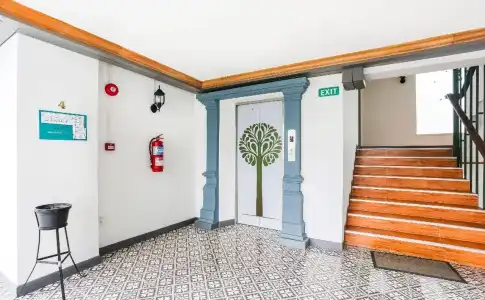 The Lilly - 13