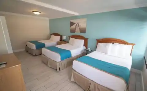 Seashell Motel and International Hostel - 51