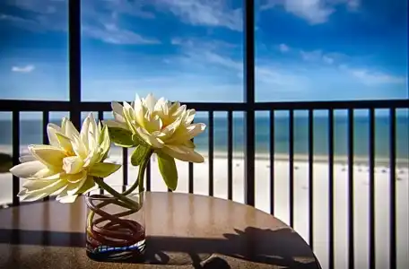 Pointe Estero Beach Resort - 91