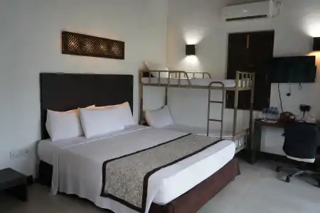 Amaluna Resorts - 1