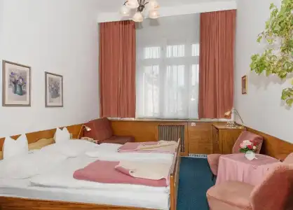 Pension Neuer Markt - 38