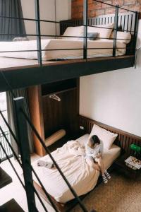 Gord Chiangmai - 106