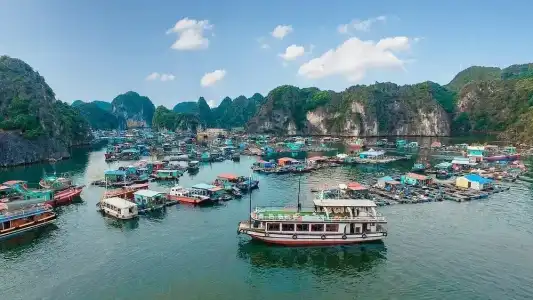 Tung Quang - 3