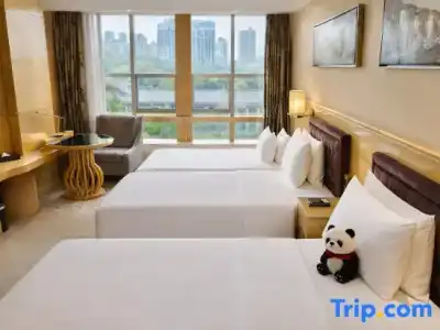 Sofis Jin Yuan - 13