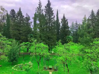 Park Imeri - 38