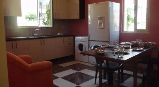 Dolphin Hostel - 18