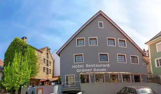 Grüner Baum - 8