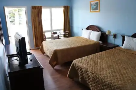Falcon Inn - 84