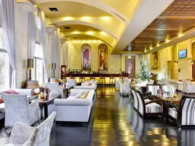 Olive Tree - 20