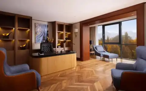 Swissôtel Wellness Resort Alatau - 88