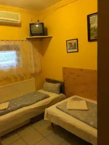 Sashalom - 14