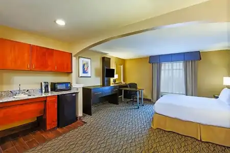 Best Western Premier Houston Downtown/Convention Center - 83