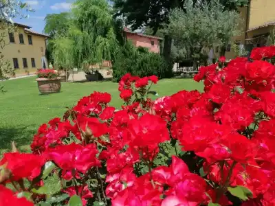 Podere Piandarca - 17