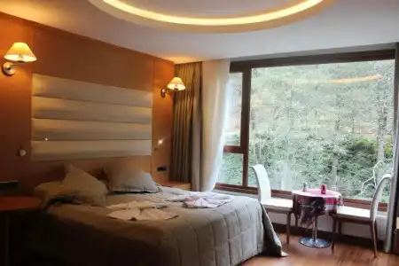 Ayder Hasimoglu - 52