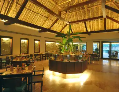 Vedic Village Spa Resort - 23