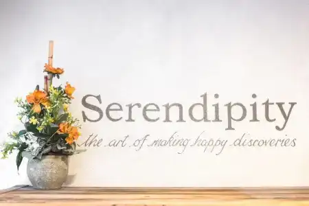 Serendipity - 34