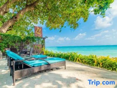 Chaweng Garden Beach Resort - 164
