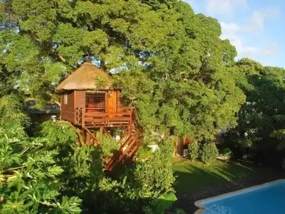 Tree Lodge Mauritius - 8