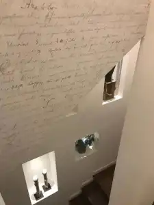 Edera e Camelie - 32