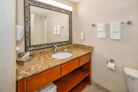 Quality Inn And Suites Lethbridge - 30