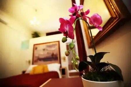 La Bella Napoli B&B - 67