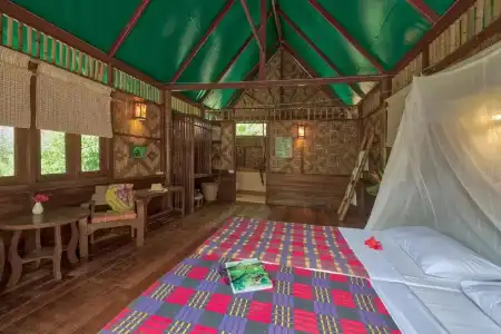 Our Jungle Camp - Eco Resort - 61