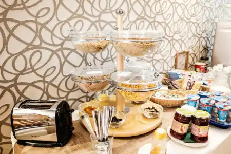 Deluxe with Free Wellness and Fitness Centrum - 9