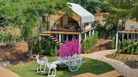 Mont blanc base camp khao yai - 86