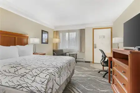 Best Western Plus Silver Saddle Inn - 49