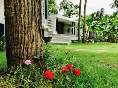 Kiri Tawan - 31