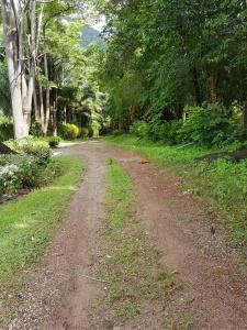 Phanom Bencha Mountain Resort - 5