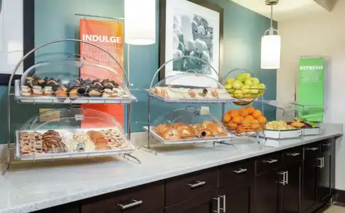 Hampton Inn & Suites Clearwater/St. Petersburg-Ulmerton Road, FL - 10