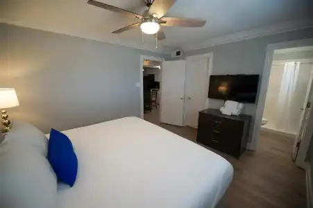 Frenchmen Orleans at 519, Ascend Collection - 28
