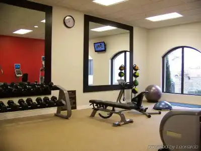 Hilton Garden Inn Las Colinas - 20