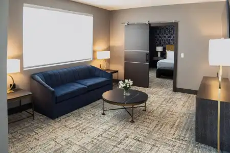 SpringHill Suites by Marriott Chicago Chinatown - 20