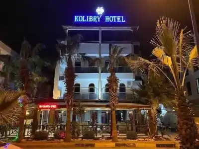 Kolibry - 31