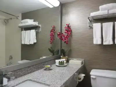 Toronto Don Valley and Suites - 91