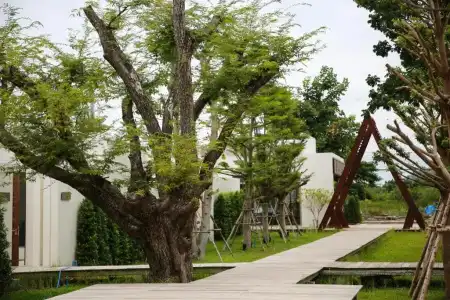 De Chaochom Hua Hin - 176