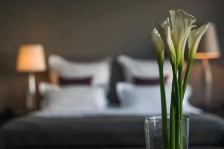 A-Rosa Ceres am Meer - Adults Only - 29