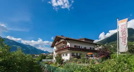 Guesthouse Pension Grafenstein - 1
