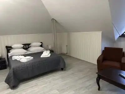 Tsentralny Mini-Hotel - 64