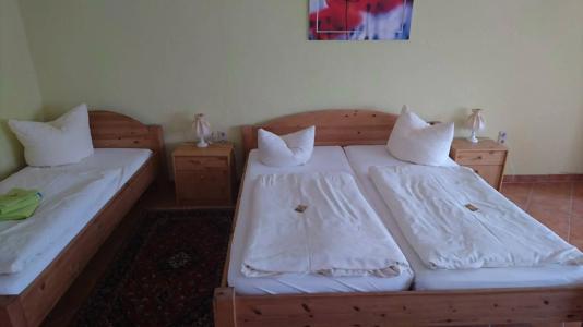 Hotel-Pension am Mühlberg - 5