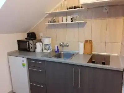 Guesthouse Blazenka Hodak - 57