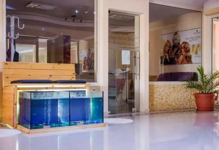 Zdravets Spa - 1