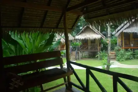 Jungle Garden - 16