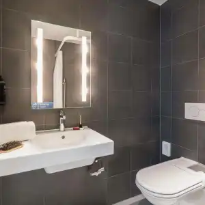 ibis budget Genève Palexpo Aéroport - 20
