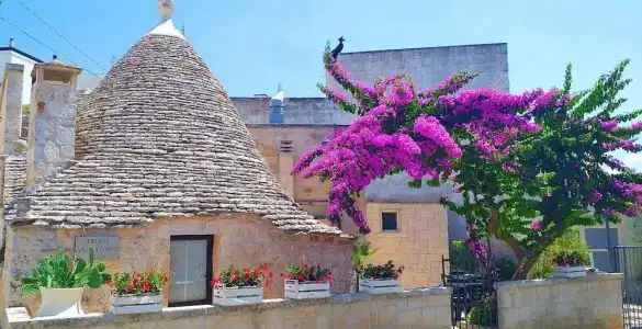Trulli Antica Fonte - 30
